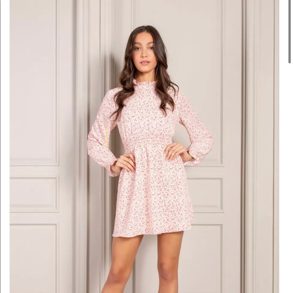 NWT Senlis Julie Smocked Dress - Small